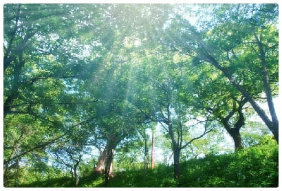 朝の光を浴びて体内時計素調整する